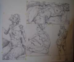 Some Life Drawings, all bigger than A1. - click here to see an enlargement (opens a new window in front of this page)